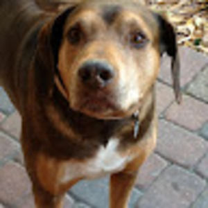 Meet your Posher, Kylabeaa